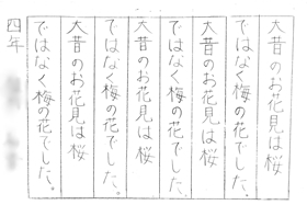 作品展示