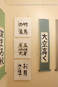 作品展示