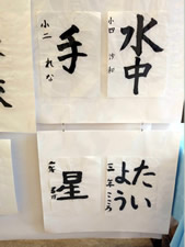 作品展示