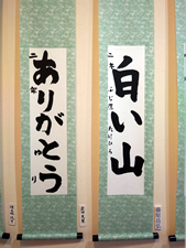 作品展示
