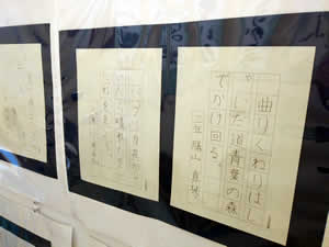 作品展示