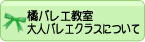 橘バレエ教室　大人バレエクラスについて